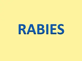 Rabies: A Fatal Viral Disease and Its Global Impact