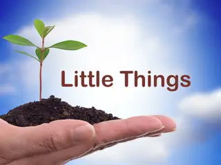 Importance of Little Things in Life and the Bible