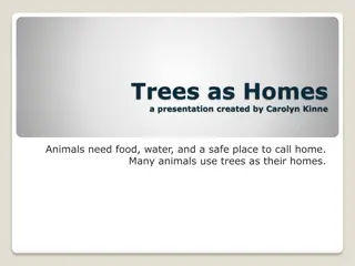 Life in Trees: A Habitat for Wildlife