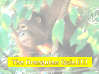 Explore the Fascinating World of Orangutans with this Quiz!