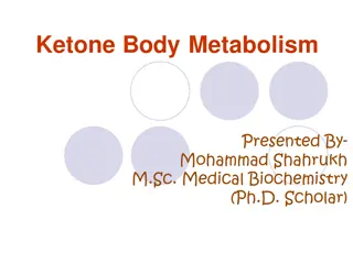 Comprehensive Overview of Ketone Body Metabolism by Mohammad Shahrukh