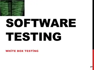 Challenges and Definitions in Software Testing
