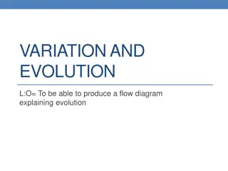Evolution: Adaptation, Variation, and Survival