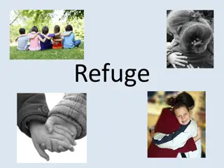 Finding Refuge in the Midst of Chaos