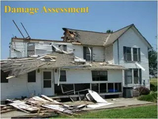 Damage Assessment for Community Resilience