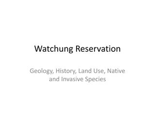 Exploring Watchung Reservation: Geology, History, and Wildlife