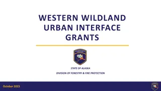 Western Wildland Urban Interface Grants in Alaska