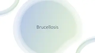 Brucellosis