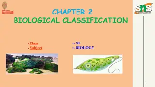 Biological Classification and the Five Kingdom System