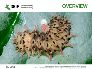 Insights into GBIF.org Data: Occurrence Records and Web Traffic Analysis