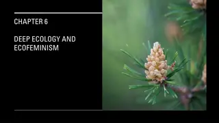 Exploring Deep Ecology and Ecofeminism