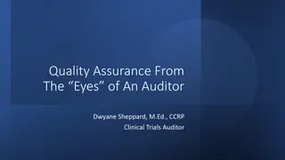 Insights into Quality Assurance Auditing