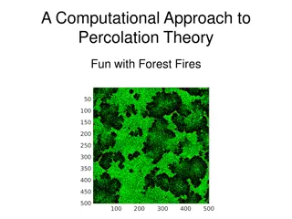 Computational Approach to Percolation Theory & Forest Fires