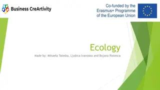 Ecology: Importance and Actions for Environmental Preservation