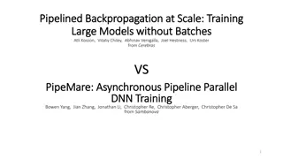 Large-Scale Training & Parallelism in DNN Models
