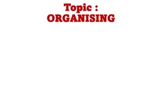 Fundamentals of Organising in an Organization
