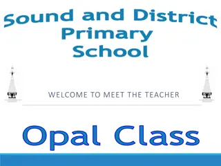 Welcome to Sound and District Primary: Updates, Schedule, and Homework Information