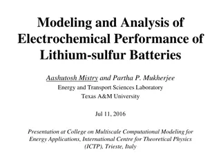 Modeling and Analysis of Electrochemical Performance in Lithium-Sulfur Batteries