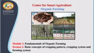 Fundamentals of Organic Farming: Cropping Patterns and Systems