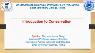 Introduction to Conservation: Importance and Methods
