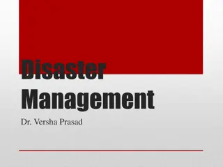 Disaster Management: Types, Steps, and Importance