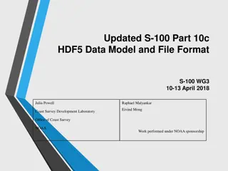S-100 HDF5 Data Model: Requirements and Overview
