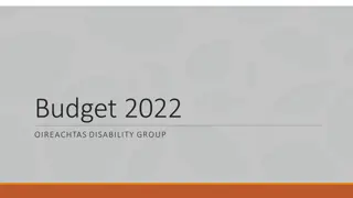 Budget 2022 Oireachtas Disability Group Insights