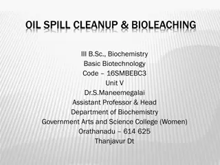 Oil Spill Cleanup and Bioremediation Methods