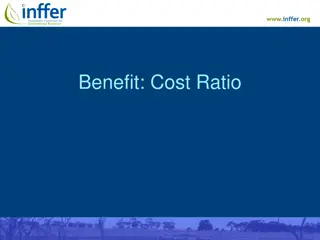 Environmental Project Value Maximization Strategy