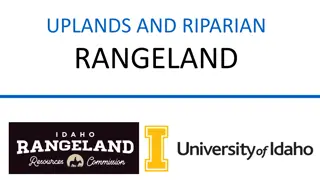 Habitat Benefits of Uplands and Riparian Rangeland