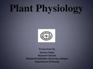Plant Physiology