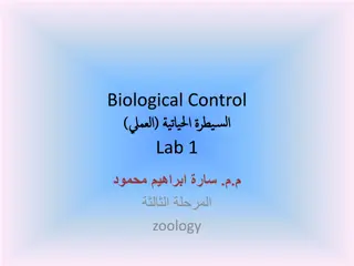 Biological Control in Zoology Lab: Methods and Importance
