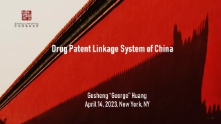 Drug Patent Linkage System of China