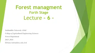 Sustainable Timber Production and Forest Management