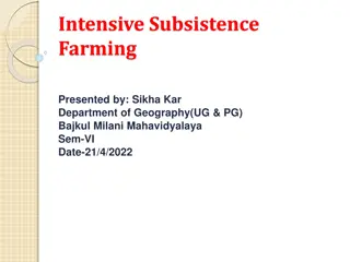 Intensive Subsistence Farming: Characteristics and Significance in Agriculture