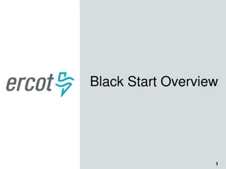 Operational Risk Management and Black Start Procedures in Energy Sector