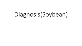 Soybean Project Work Plan and Budget Management