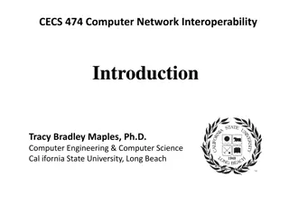 Computer Network Interoperability and Networking Overview