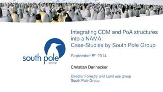 Integrating CDM and PoA Structures into a NAMA: Case Studies and Implementation Insights
