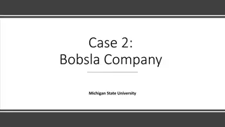 Bobsla Company Case Study: Marketing Strategies for Hybrid Electric Snowmobile