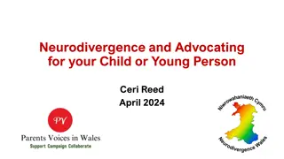 Neurodiversity and Supporting Neurodivergent Learners