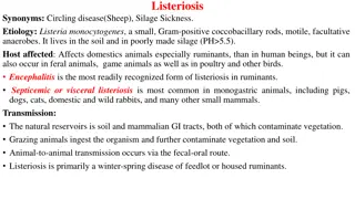 Listeriosis in Animals: Causes, Symptoms, and Treatment