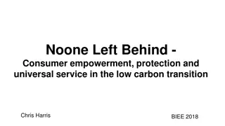 Empowering Consumers: Strategies for Universal Service in the Low Carbon Transition