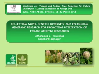Enhancing Forage Genetic Resources for Climate Adaptation