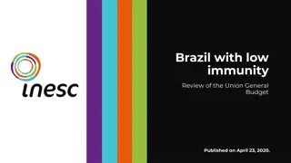 Impacts of Austerity Measures on Human Rights in Brazil