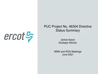 PUC Project No. 46304 Directive Status Summary & Updates