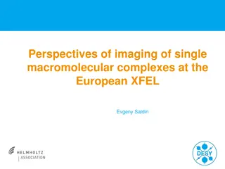 Imaging Perspectives at European XFEL: Single Macromolecular Complexes by Evgeny Saldin