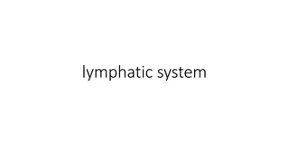 Lymphatic System