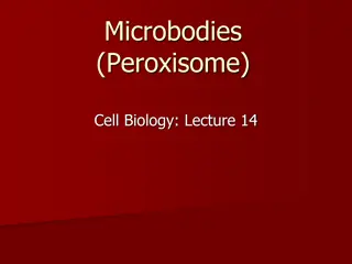 Peroxisomes and Glyoxysomes in Cell Biology