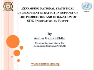 Revamping National Statistical Development Strategy in Egypt for SDG Indicators